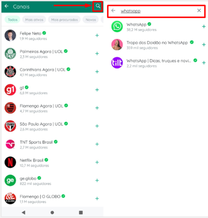 Seguir canal no WhatsApp