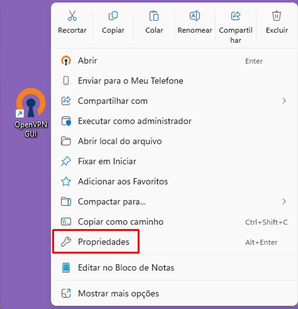 propriedades Iniciar o OpenVPN Automaticamente